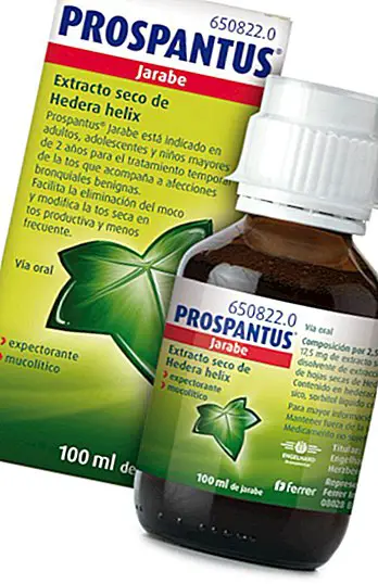 Prospantus Syrup : 무엇이며, 무엇을위한 것이고 정확한 복용량입니다.