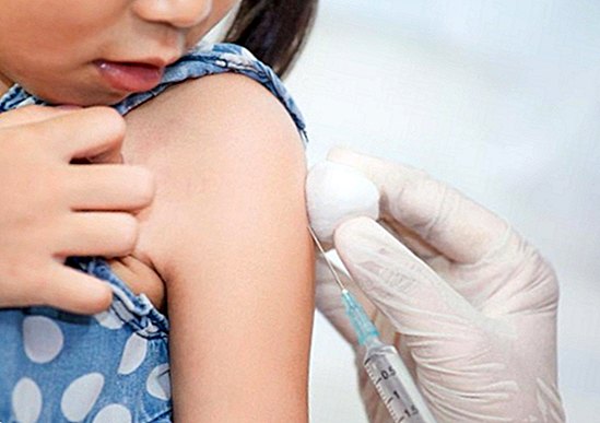 The anti-vaccine movement is a risk to health, according to the WHO - babies and children