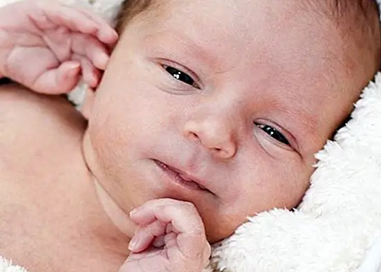 Mulighetsvinduet: utviklingen av babyens hjerne - babyer og barn