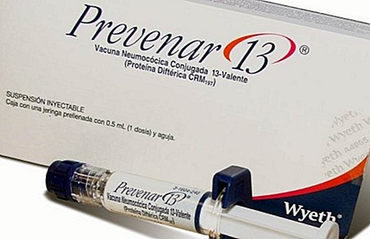 Prevenar 13: vaccine against pneumonia. What is it, when does it start and side effects? - babies and children