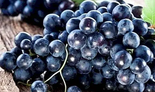 4 szépségápolási szer a szőlővel a bőr, a haj és az ajkak számára - szépség