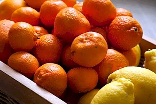 Vitamin C in njegove koristi za kožo