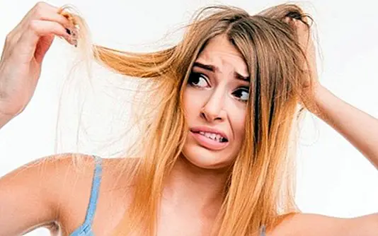 What are the causes of dry hair - beauty