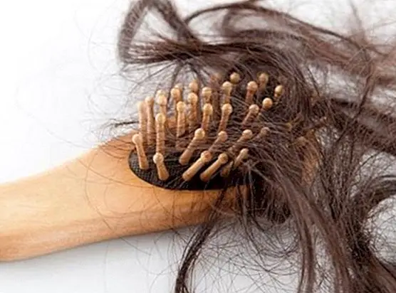 Quantos cabelos caem por dia e como evitá-lo