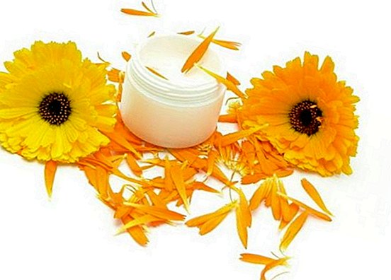 How to make natural calendula cream for the skin