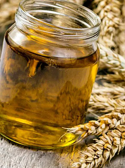 Minyak kuman gandum untuk rambut: apa itu, manfaat dan resipi