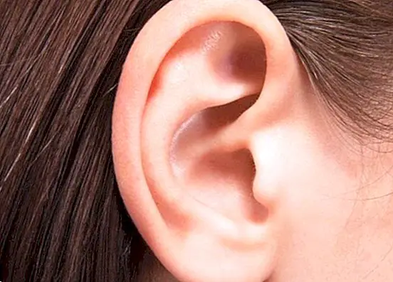 pierde greutatea urechii