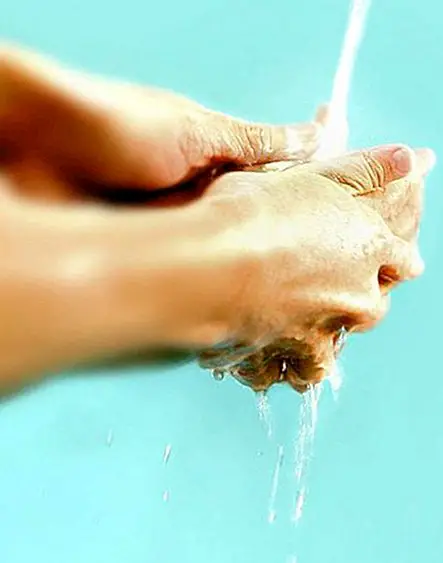 Hoe u uw handen goed wast om kiemen te elimineren (bacteriën en virussen)