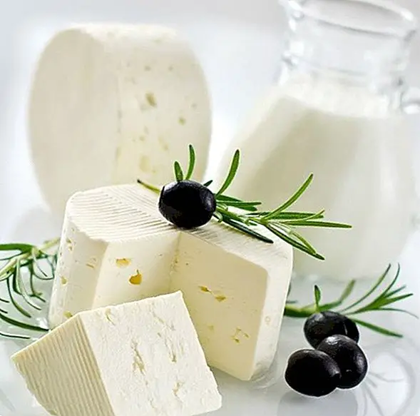 Συμβουλές για την αντικατάσταση του γάλακτος και των γαλακτοκομικών προϊόντων στις συνταγές vegan σας - υγιείς συμβουλές