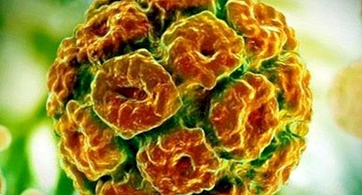 Tips for å hindre humant papillomavirus - sunne tips