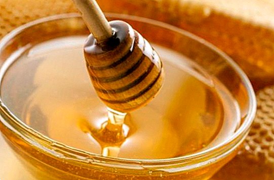 Hvordan ta honning til å nyte sine medisinske og helbredende egenskaper