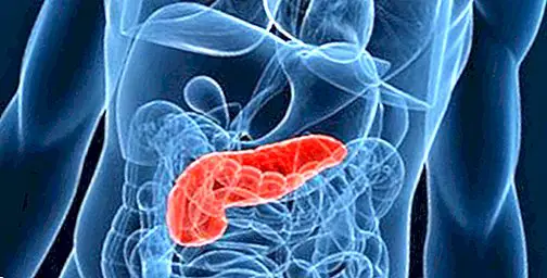 dicas saudáveis - Como cuidar do pâncreas