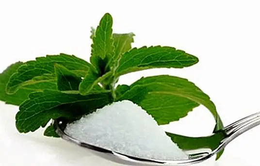 Why replace white sugar with stevia