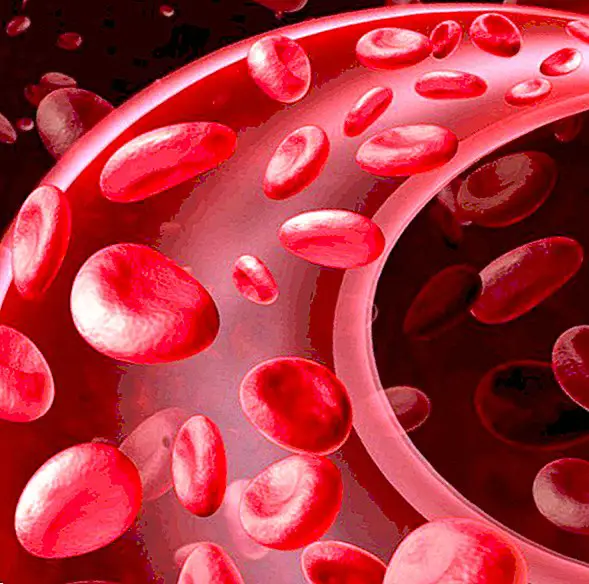 De que grupo sanguíneo posso doar sangue?