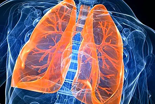 Keuhkojen toiminnot
