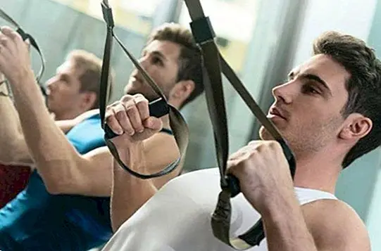 Health in the gym: directed activities - curiosities