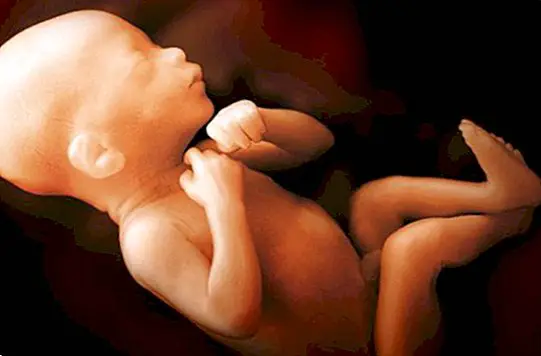 Ce este lichidul amniotic și care sunt funcțiile sale