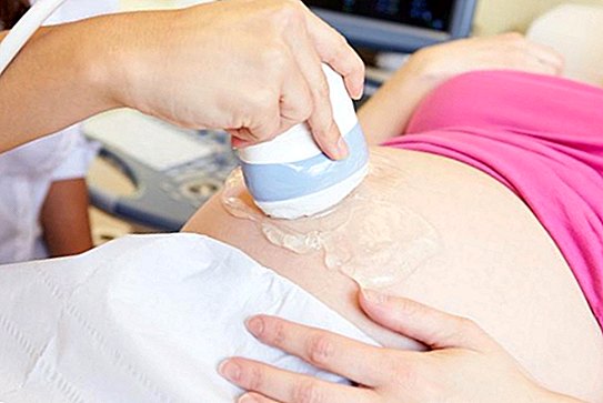 Kiek ultragarsinio nuskaitymo atlieka Socialinės apsaugos tarnyba nėštumo metu? - nėštumo