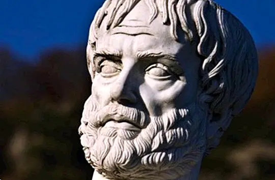 10 berømte sitater av Aristoteles som vil tjene til å forbedre seg som mennesker