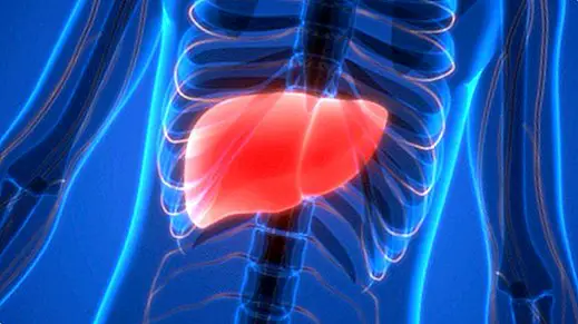 Maščobne jetra: kaj so, simptomi, vzroki in zdravljenje