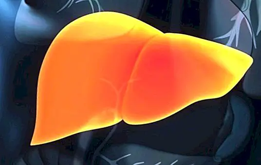 Inflamed liver: symptoms, causes, treatment and natural recommendations