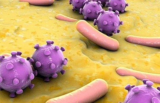 病気 - ウイルスと細菌は同じではありません：それらを区別して治療する方法を発見