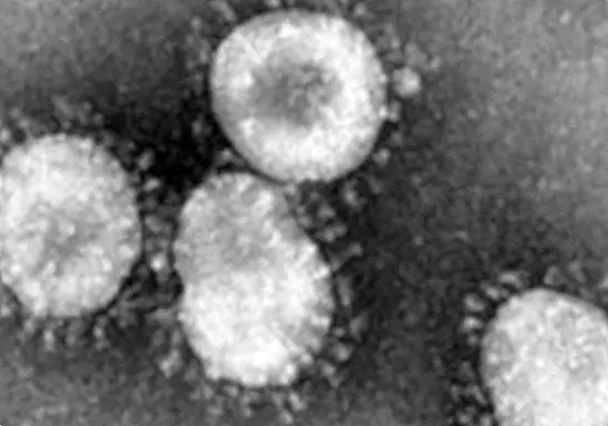 Cilvēka koronavīruss: kas tas ir, simptomi un infekcija