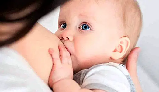 Le lait maternel augmente le QI des bébés - l'allaitement maternel