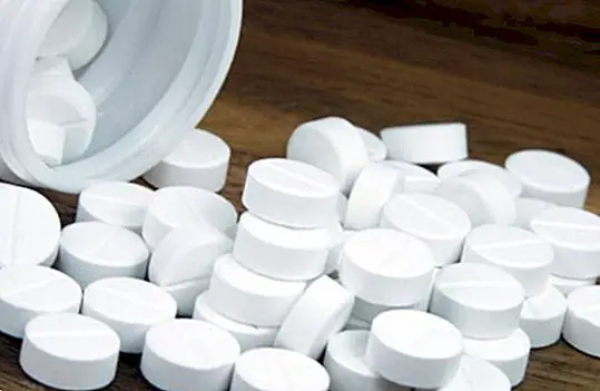 Hvad er paracetamol og hvad er det for? Dosering og risici
