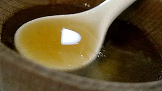 Мед розмарину: переваги та властивості