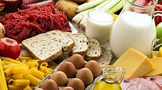 odżywianie i dieta - Niezbędne składniki odżywcze: czym są, korzyści i funkcje