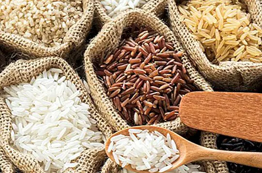 näring och kost - Typer av ris och huvudvarianter av ris