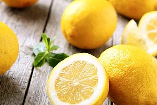 Fordele og egenskaber ved den vigtigste citron