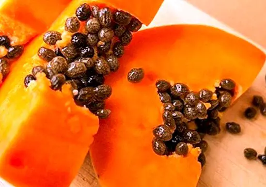 Waarom het goed is om elke dag papaja te eten - voeding en dieet