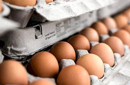 mityba ir mityba - Užterštų kiaušinių krizė: viskas yra žinoma