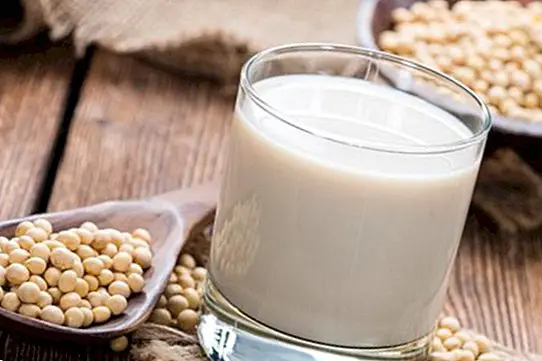 Susu soya: faedah, sifat dan resipi minuman sayur soya