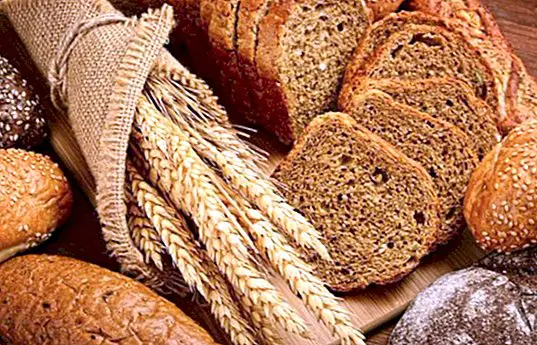 Does the bread get fat? How many calories does it provide depending on the type of bread