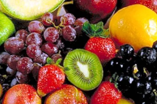 Frutas: benefícios e propriedades
