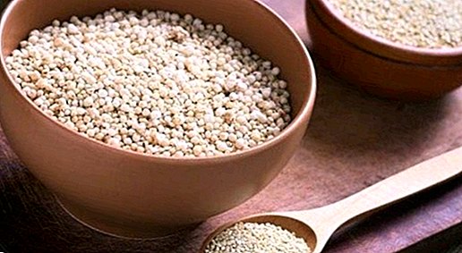 a quinoa fogyás egészségügyi előnyei