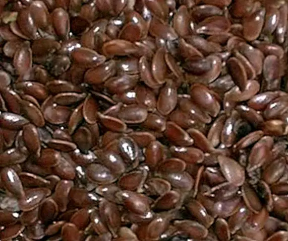 Ľanové semená: vlastnosti a výhody
