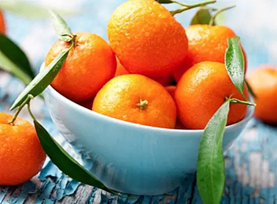 Tangerines: main benefits and nutritional values