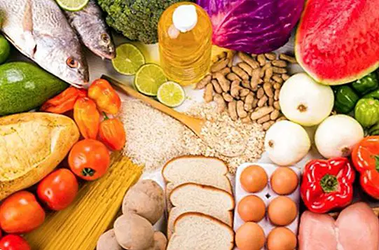 التغذية والنظام الغذائي - احتياجات من الكربوهيدرات والدهون والبروتينات والمصادر الرئيسية