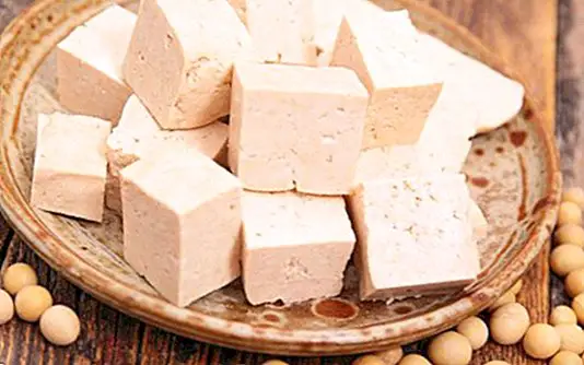 A tofu értékes fehérjeforrás