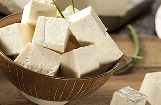 O que é tofu ou tofu, benefícios e como fazer