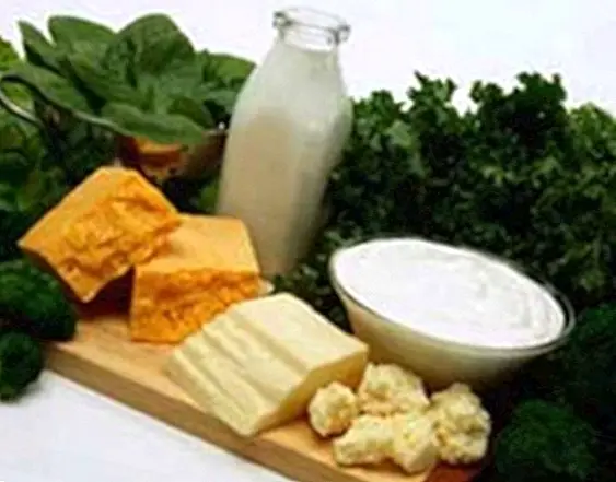 voeding en dieet - Calcium: voordelen en eigenschappen, functies en rijke voedingsmiddelen