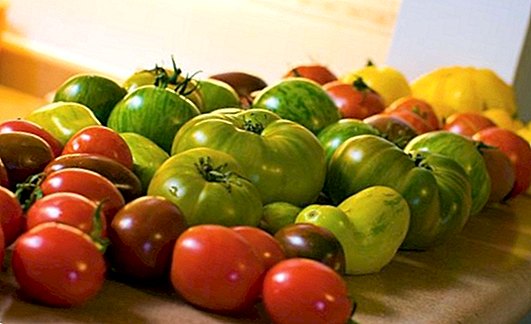 Farba ovocia, zeleniny a ich prínos pre zdravie