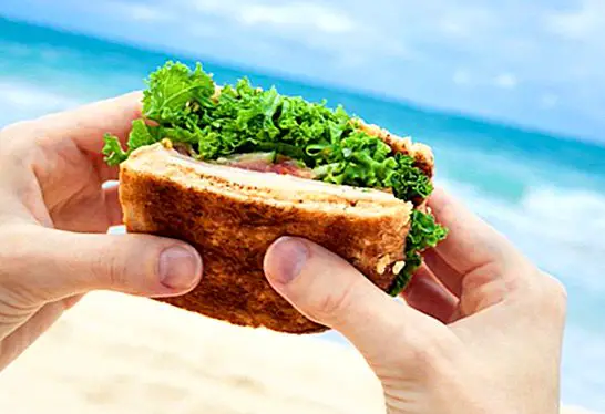 Makanan untuk hari-hari pantai: sandwic dan sandwic