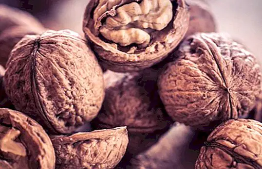 Les noix et leurs qualités pour prévenir le cancer