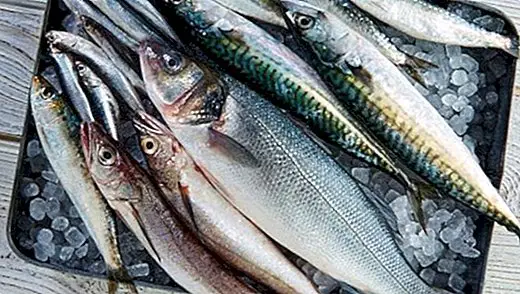 Modré ryby: druhy, výhody a nutričné ​​informácie