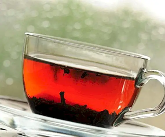 uzturs un uzturs - Sarkanā tēja: priekšrocības, kā to sagatavot un kontrindikācijas